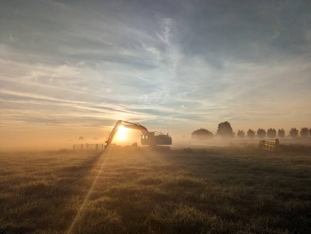 Weidevogelgebied